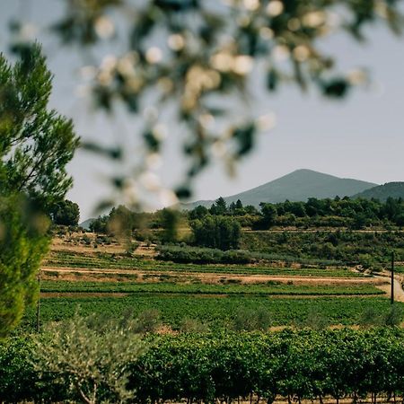 Les Gites Du Clos Saint Michel & Spa Malaucene Luaran gambar